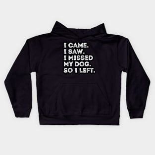 I Came I Saw I Missed My Dog Dog Owner Lover Pet jokes Kids Hoodie